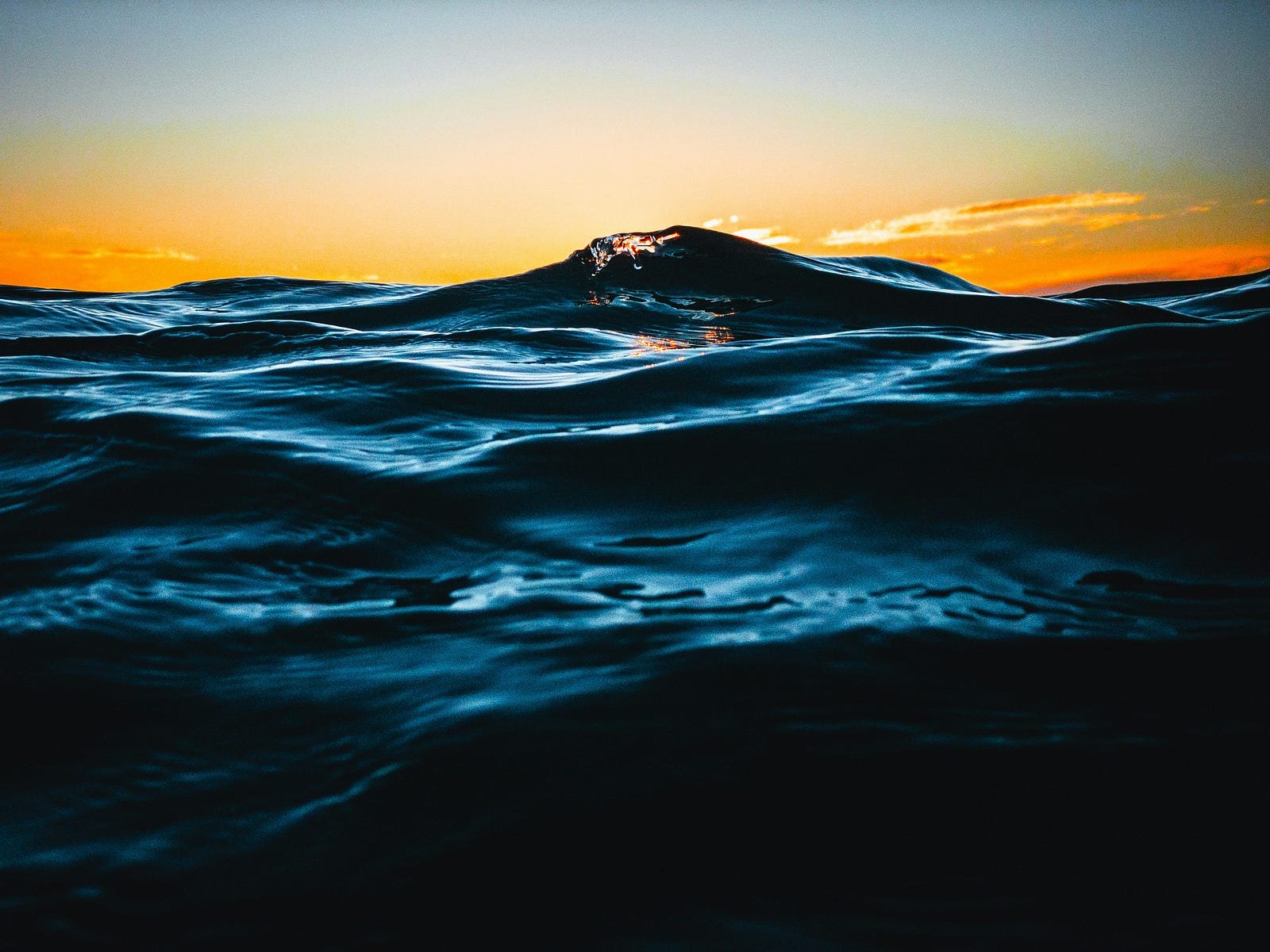 The Importance of Ocean Conservation and What You Can Do to Help